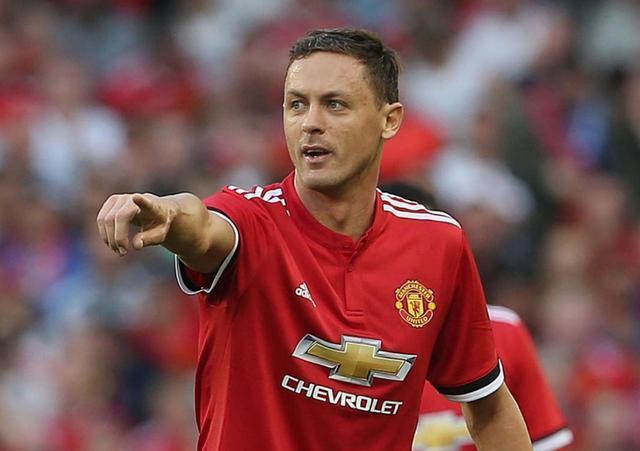 年轻的鹈鹕 年轻的鹈鹕