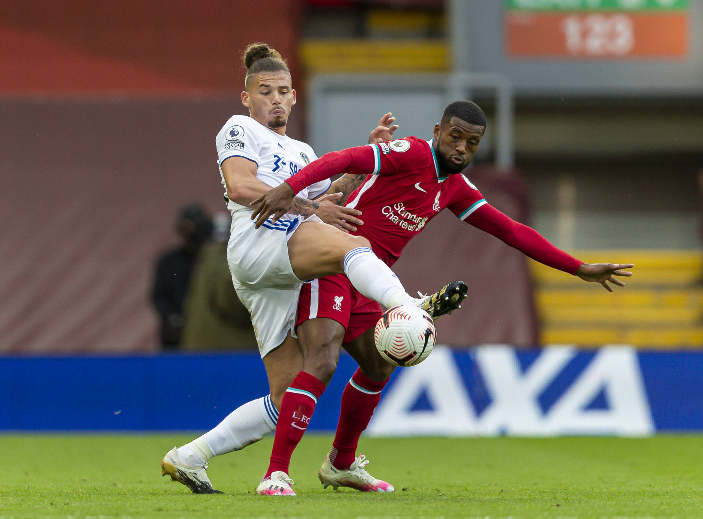 马在多夫比 马在多夫比