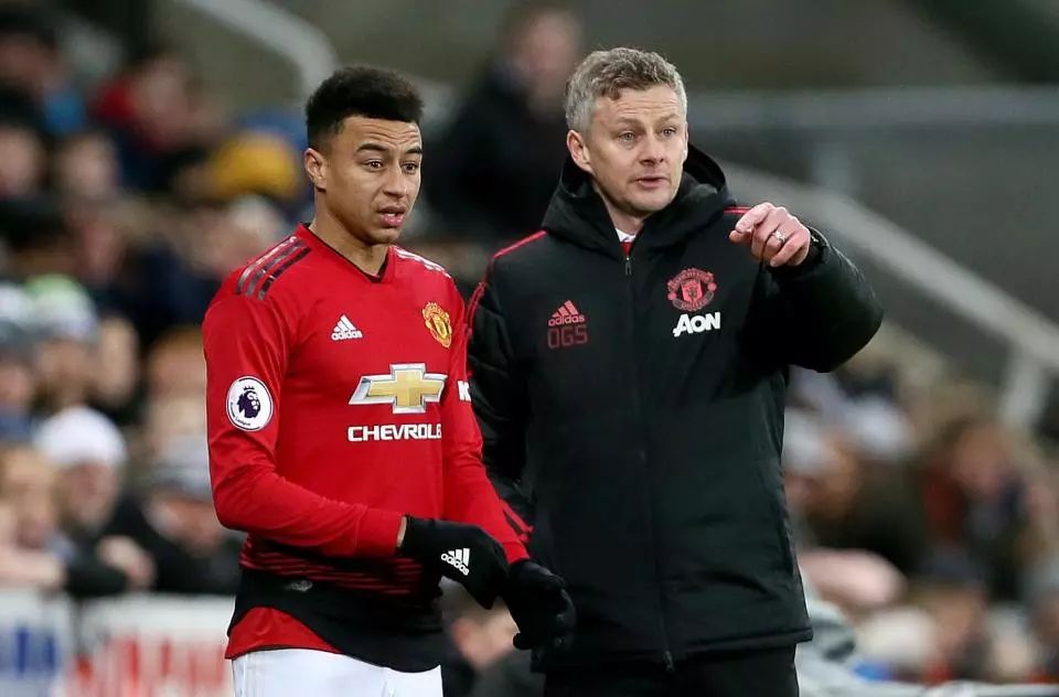 友们培养出 友们培养出